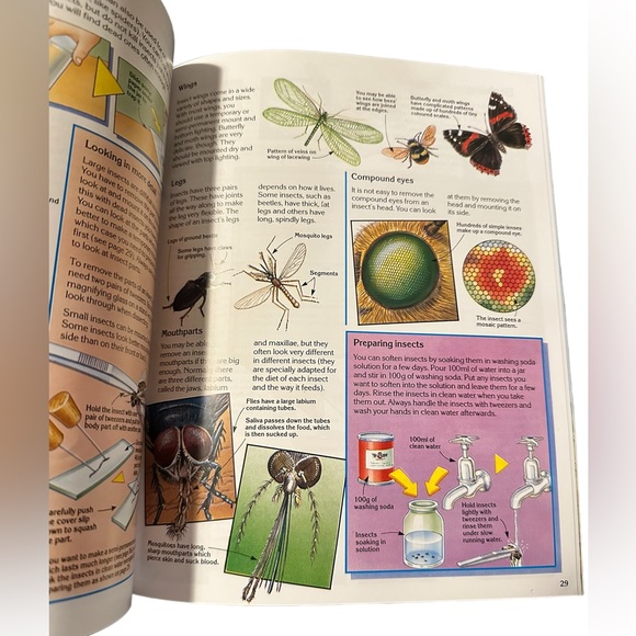 Usborne Science and Experiments The World of the Microscope Euc - Picture 4 of 4